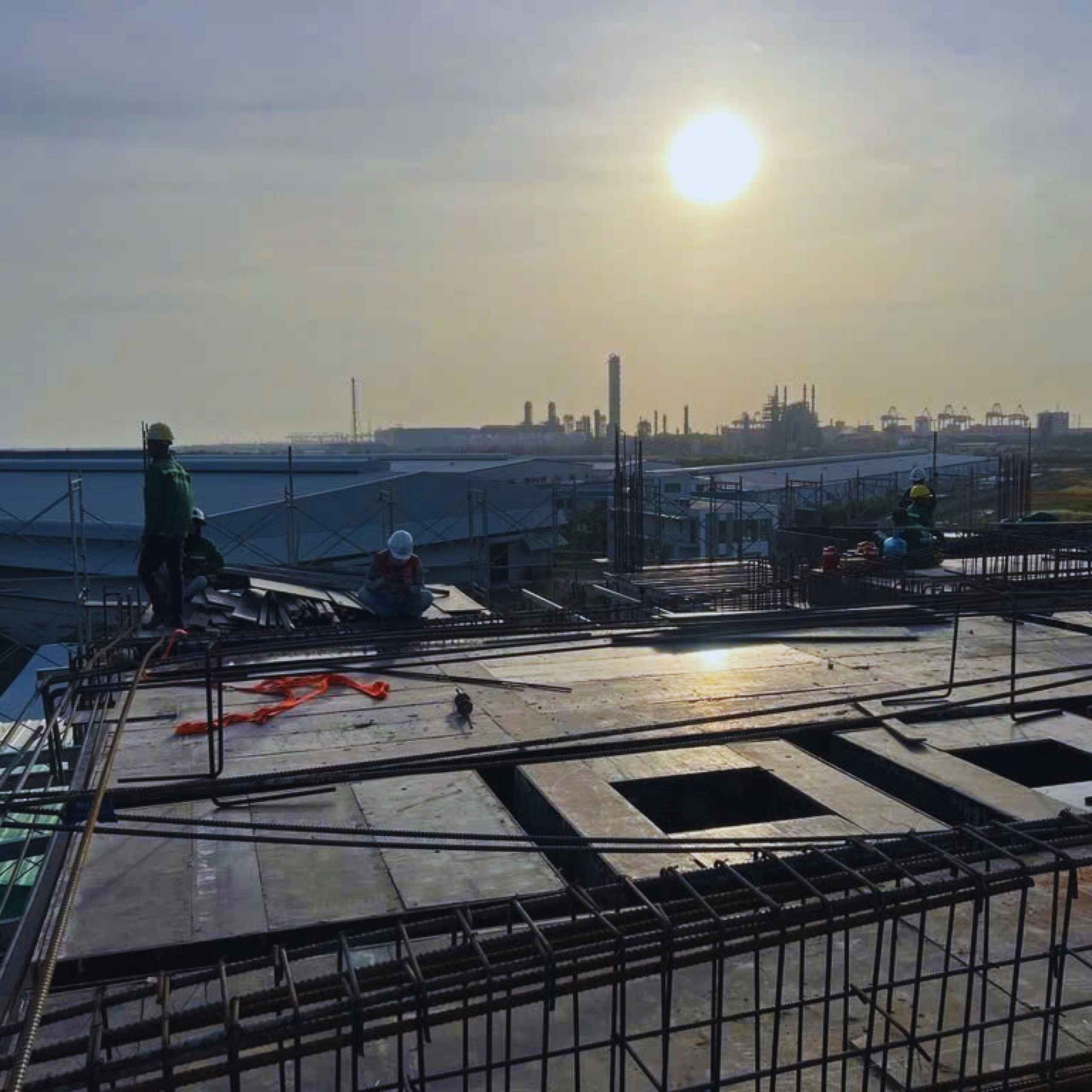 NHÀ MÁY PET LIKE - Ảnh 3